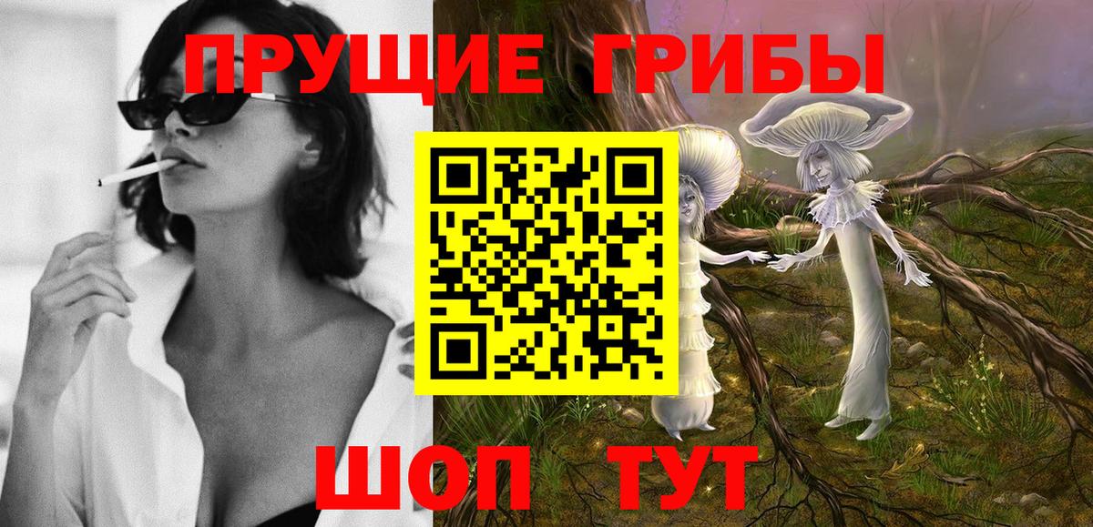 Галлюциногенные грибы Cubensis Богданович