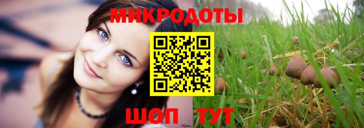 Галлюциногенные грибы Magic Shrooms  Псилоцибиновые грибы Magic Shrooms  Богданович  Вход с VPN 